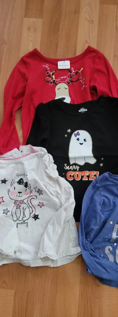 Jumping Beans Girls 4T Clothes Sweater Assorted Pants & Longsleeve Tops Lot Of 9